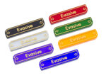 Lorcana Evasive